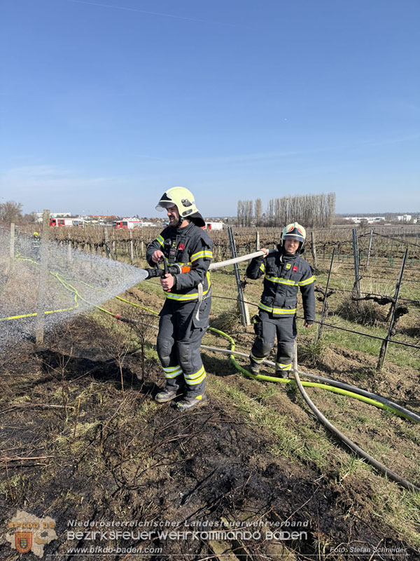 20260308_Brand neben der S�dbahnstrecke  Foto: Stefan Schneider BFKDO BADEN