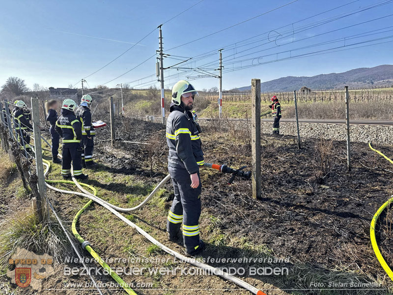 20260308_Brand neben der S�dbahnstrecke  Foto: Stefan Schneider BFKDO BADEN