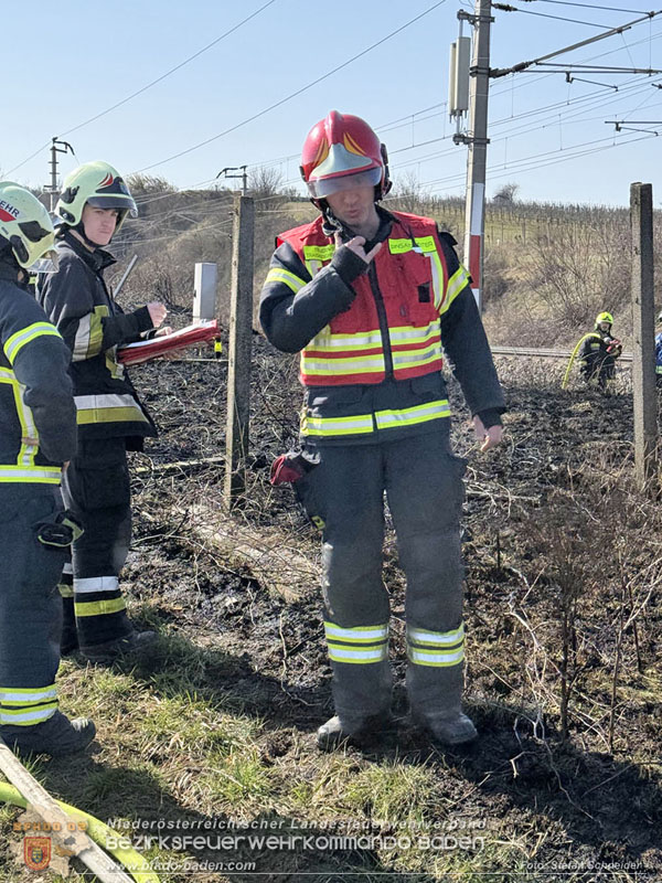 20260308_Brand neben der S�dbahnstrecke  Foto: Stefan Schneider BFKDO BADEN