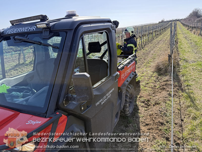 20260308_Brand neben der S�dbahnstrecke  Foto: Stefan Schneider BFKDO BADEN