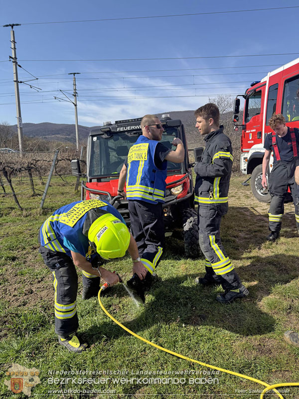 20260308_Brand neben der S�dbahnstrecke Foto: Stefan Schneider BFKDO BADEN