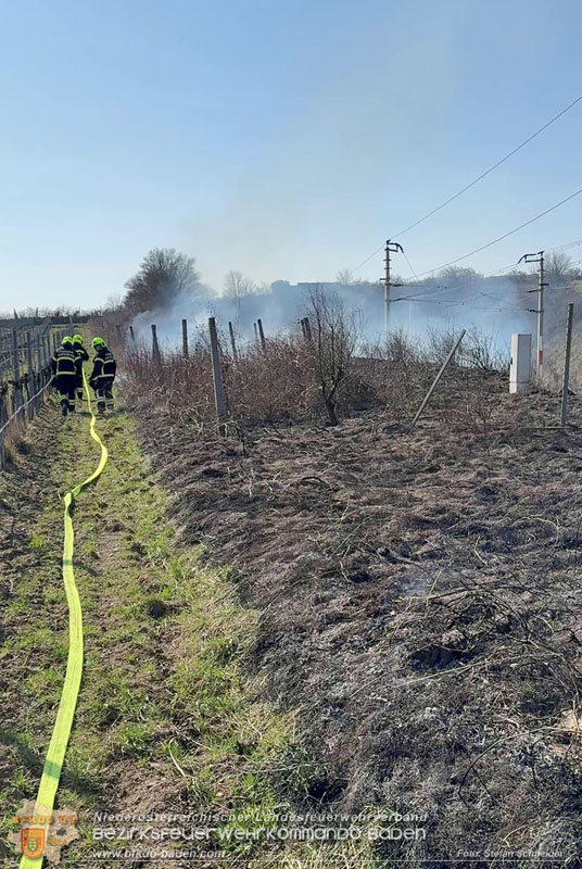 20260308_Brand neben der S�dbahnstrecke Foto: Stefan Schneider BFKDO BADEN
