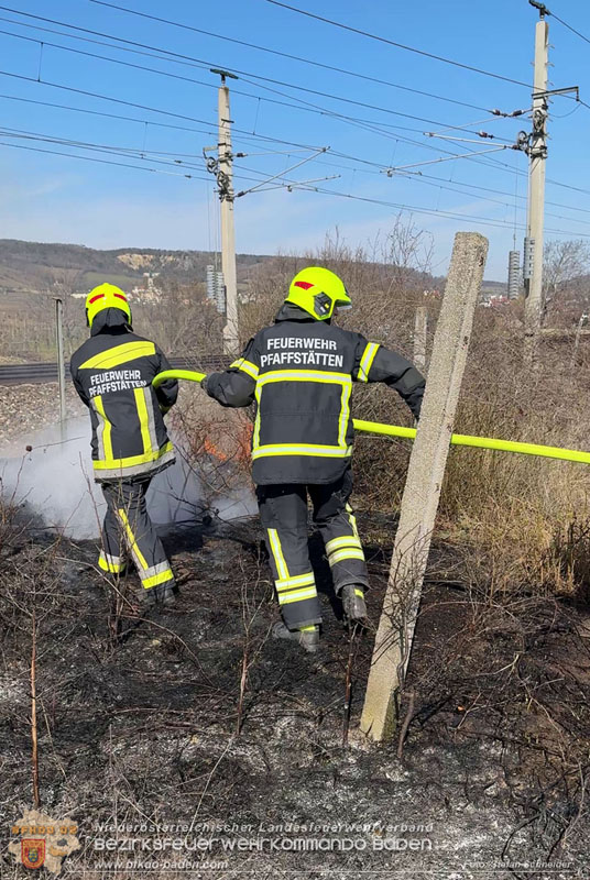 20260308_Brand neben der S�dbahnstrecke Foto: Stefan Schneider BFKDO BADEN