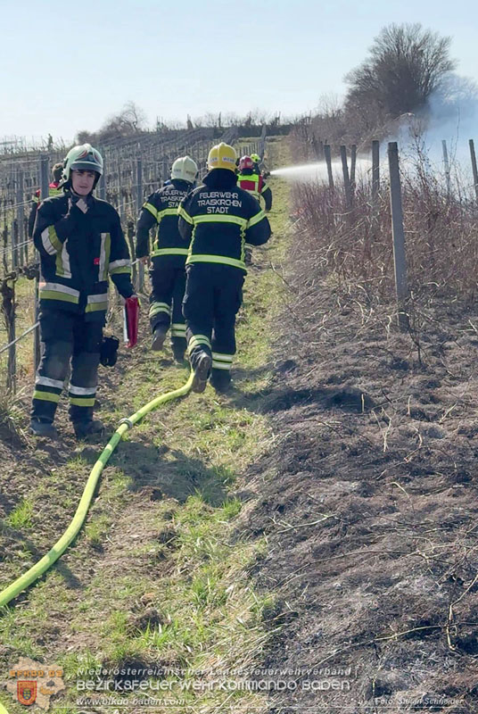 20260308_Brand neben der S�dbahnstrecke Foto: Stefan Schneider BFKDO BADEN