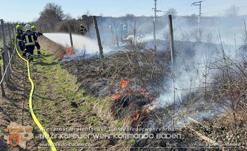 20260308_Brand neben der S�dbahnstrecke Foto: Stefan Schneider BFKDO BADEN