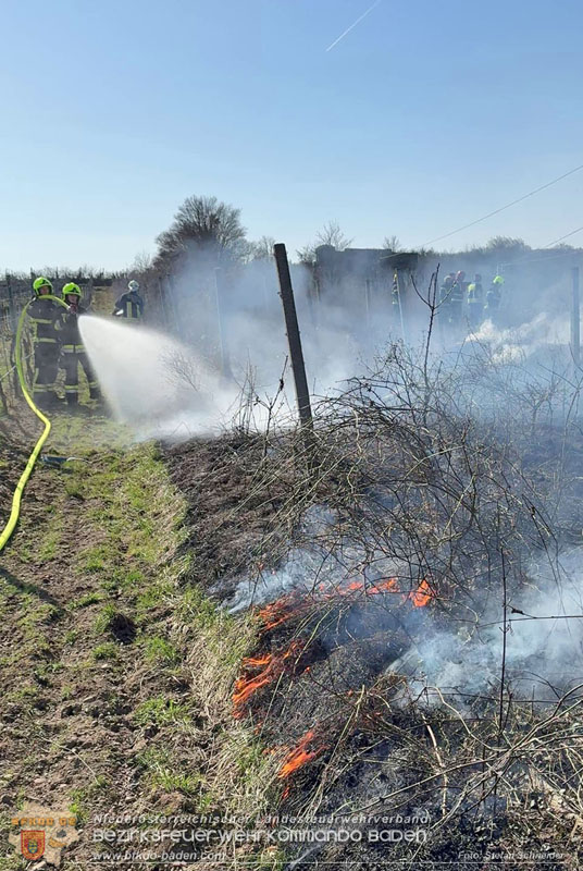 20260308_Brand neben der S�dbahnstrecke Foto: Stefan Schneider BFKDO BADEN