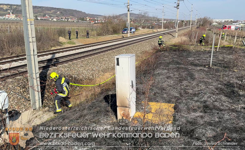 20260308_Brand neben der S�dbahnstrecke Foto: Stefan Schneider BFKDO BADEN