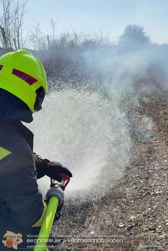 20260308_Brand neben der S�dbahnstrecke Foto: Stefan Schneider BFKDO BADEN