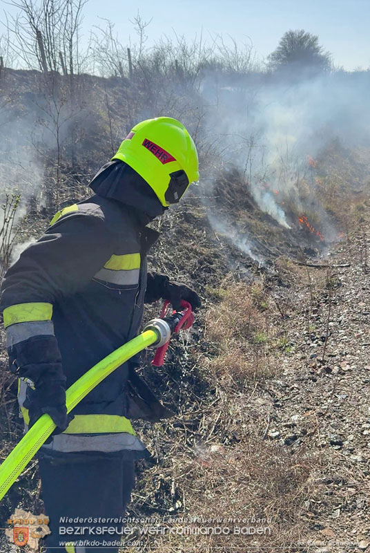 20260308_Brand neben der S�dbahnstrecke Foto: Stefan Schneider BFKDO BADEN