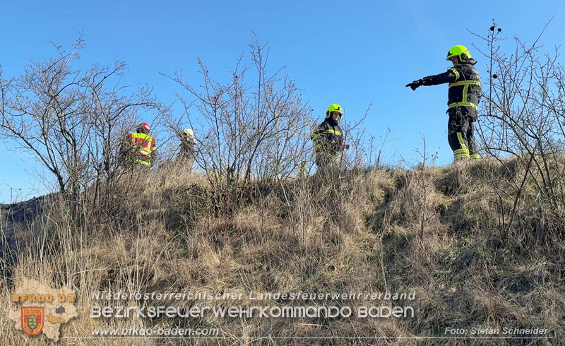 20260308_Brand neben der S�dbahnstrecke Foto: Stefan Schneider BFKDO BADEN