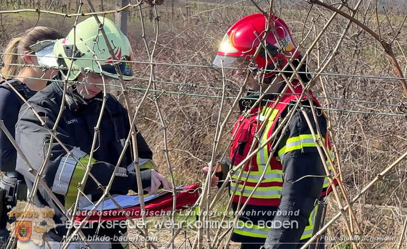 20260308_Brand neben der S�dbahnstrecke Foto: Stefan Schneider BFKDO BADEN