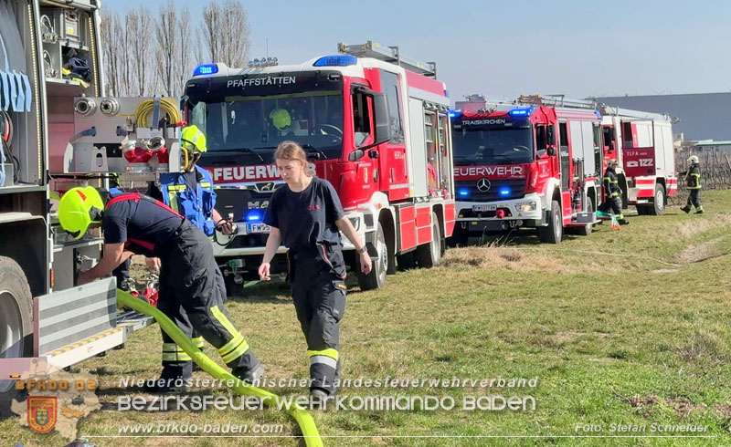 20260308_Brand neben der S�dbahnstrecke Foto: Stefan Schneider BFKDO BADEN