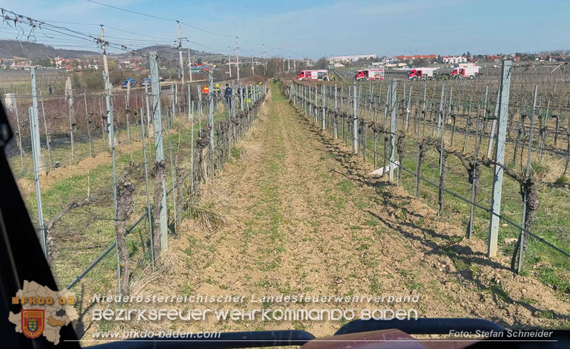 20260308_Brand neben der S�dbahnstrecke Foto: Stefan Schneider BFKDO BADEN