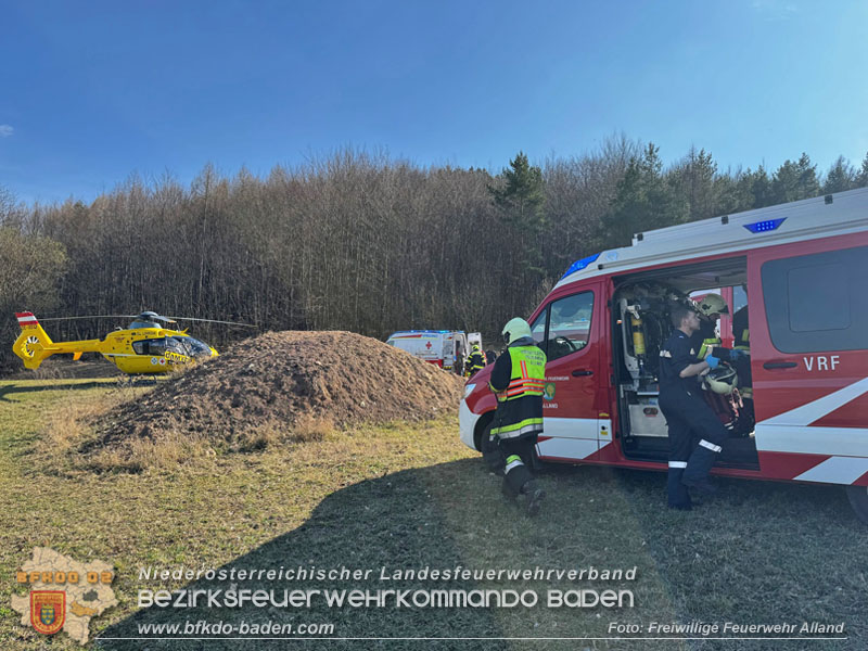 20260313_Forstunfall in Preinsfeld bei Heiligenkreuz Foto: FF Alland