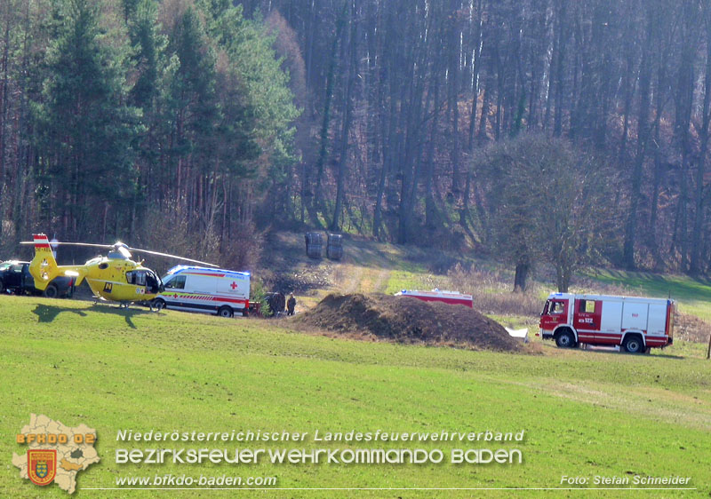 20260313_Forstunfall in Preinsfeld bei Heiligenkreuz Foto: Stefan Schneider BFKDO BADEN