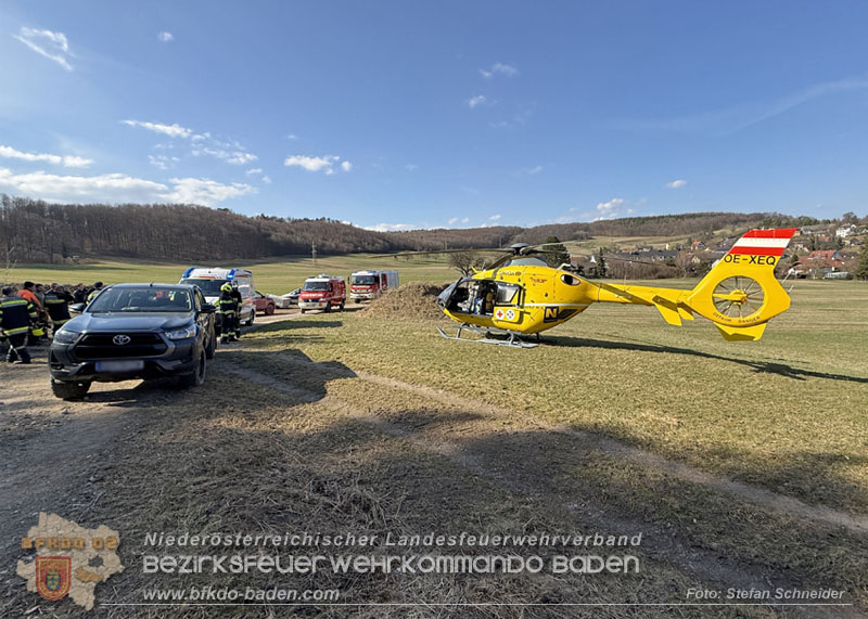 20260313_Forstunfall in Preinsfeld bei Heiligenkreuz Foto: Stefan Schneider BFKDO BADEN