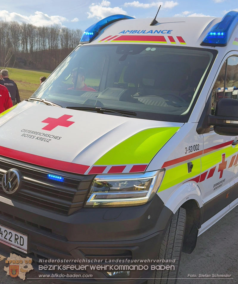 20260313_Forstunfall in Preinsfeld bei Heiligenkreuz Foto: Stefan Schneider BFKDO BADEN
