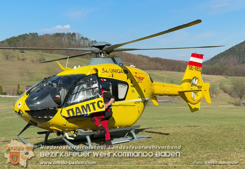 20260313_Forstunfall in Preinsfeld bei Heiligenkreuz Foto: Stefan Schneider BFKDO BADEN