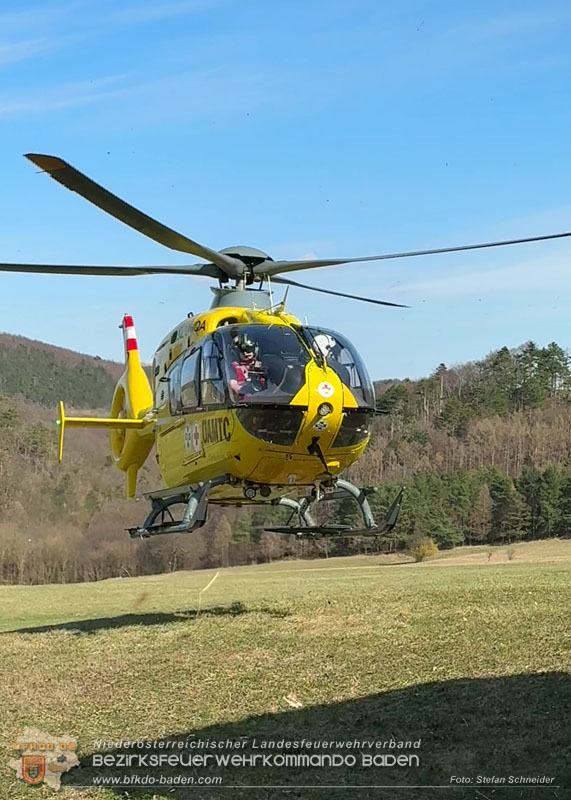 20260313_Forstunfall in Preinsfeld bei Heiligenkreuz Foto: Stefan Schneider BFKDO BADEN