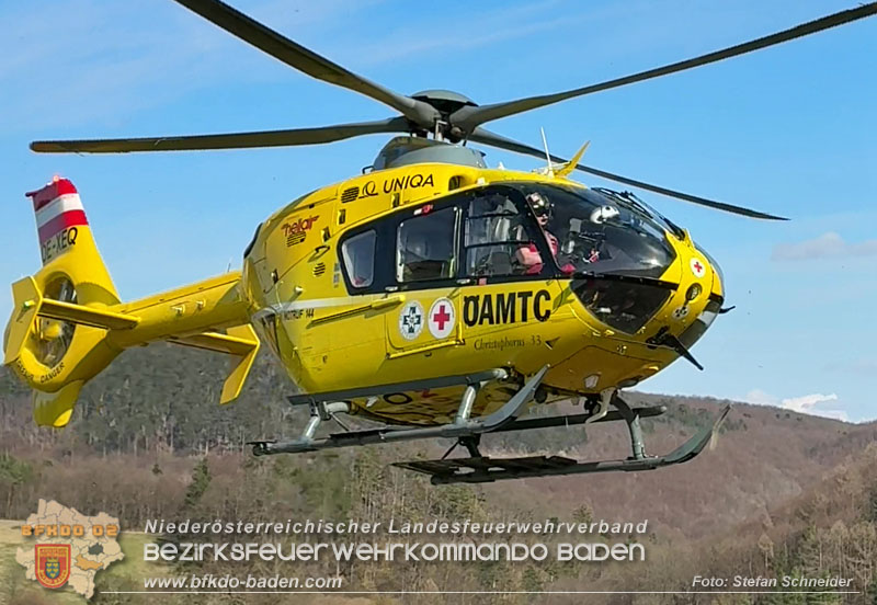 20260313_Forstunfall in Preinsfeld bei Heiligenkreuz Foto: Stefan Schneider BFKDO BADEN