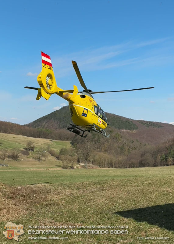 20260313_Forstunfall in Preinsfeld bei Heiligenkreuz Foto: Stefan Schneider BFKDO BADEN