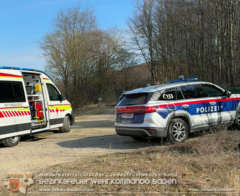20260313_Forstunfall in Preinsfeld bei Heiligenkreuz Foto: Stefan Schneider BFKDO BADEN