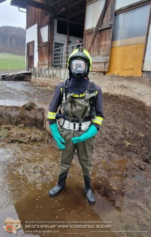 20260326_Tierrettung - Kuh st�rzt in G�llegrube  Foto: FF N�stach