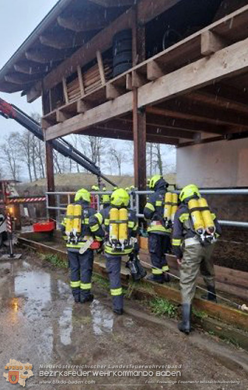 20260326_Tierrettung - Kuh st�rzt in G�llegrube  Foto: FF N�stach