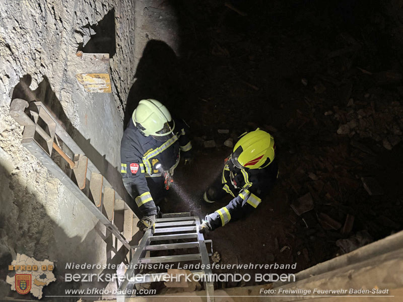 20260330_Katze aus misslicher Lage befreit in Baden  Foto: Freiwillige Feuerwehr Baden-Stadt