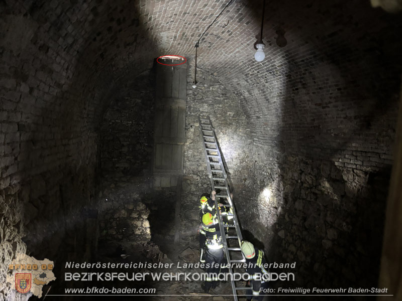 20260330_Katze aus misslicher Lage befreit in Baden  Foto: Freiwillige Feuerwehr Baden-Stadt
