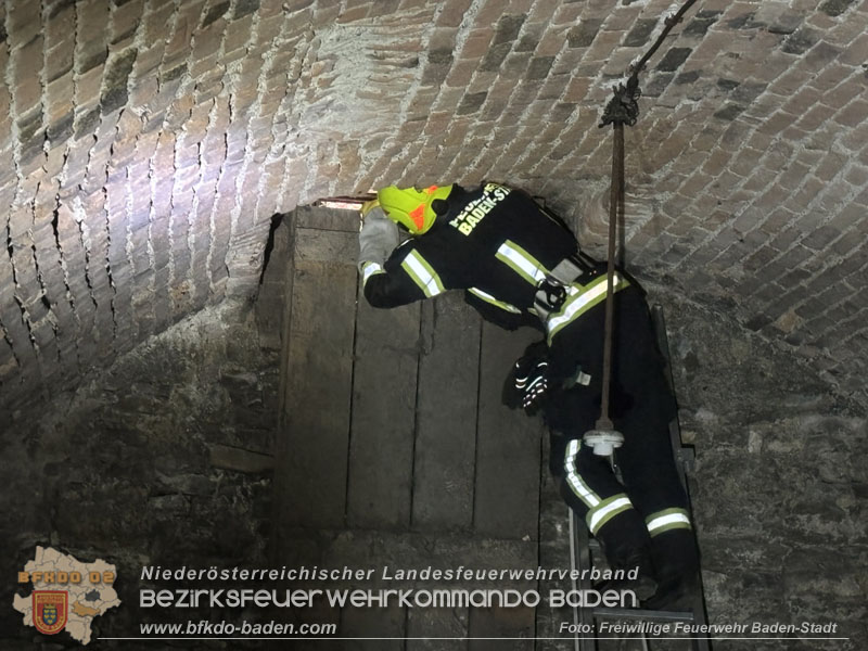 20260330_Katze aus misslicher Lage befreit in Baden  Foto: Freiwillige Feuerwehr Baden-Stadt