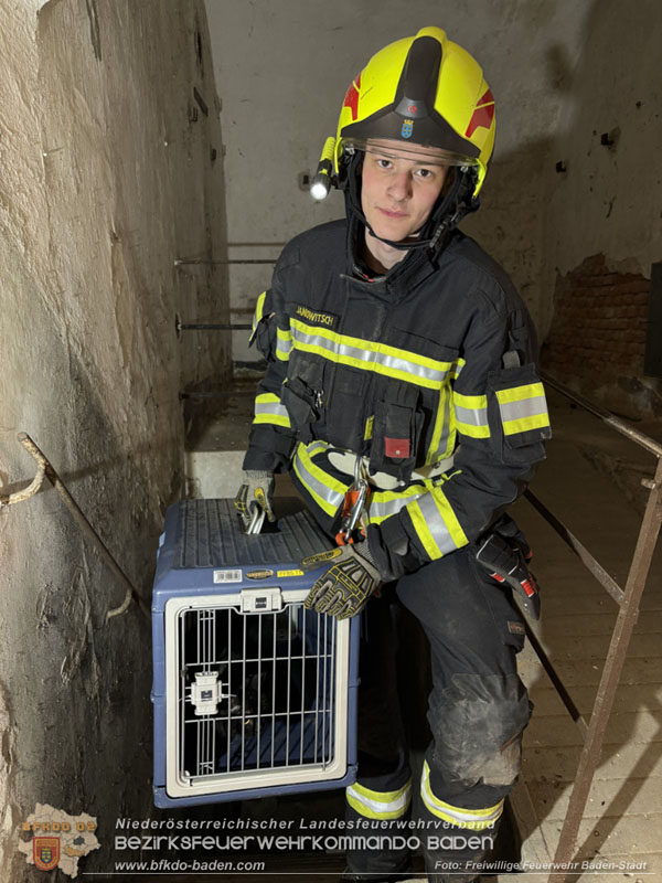 20260330_Katze aus misslicher Lage befreit in Baden  Foto: Freiwillige Feuerwehr Baden-Stadt