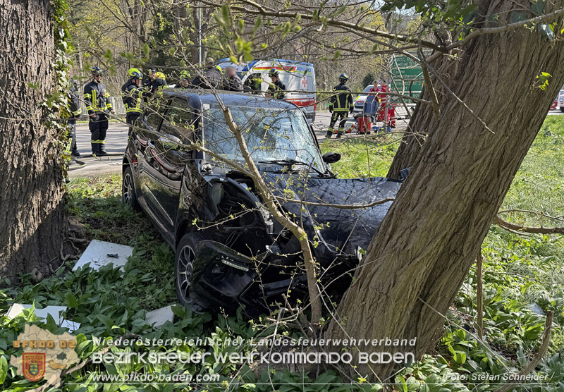 20260403_Moped-Auto prallt in Baden frontal gegen Baum  Foto: Stefan Schneider