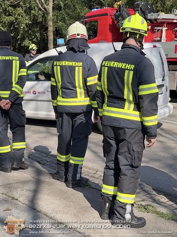 20260403_Moped-Auto prallt in Baden frontal gegen Baum Foto: Stefan Schneider