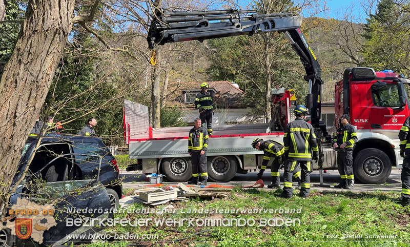 20260403_Moped-Auto prallt in Baden frontal gegen Baum Foto: Stefan Schneider
