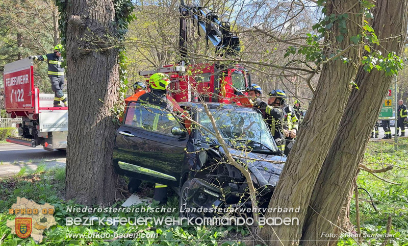 20260403_Moped-Auto prallt in Baden frontal gegen Baum Foto: Stefan Schneider