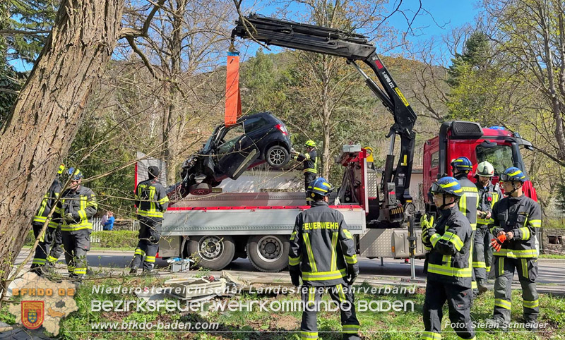 20260403_Moped-Auto prallt in Baden frontal gegen Baum Foto: Stefan Schneider