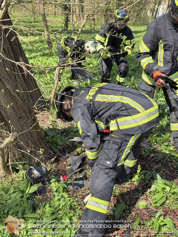 20260403_Moped-Auto prallt in Baden frontal gegen Baum Foto: Stefan Schneider