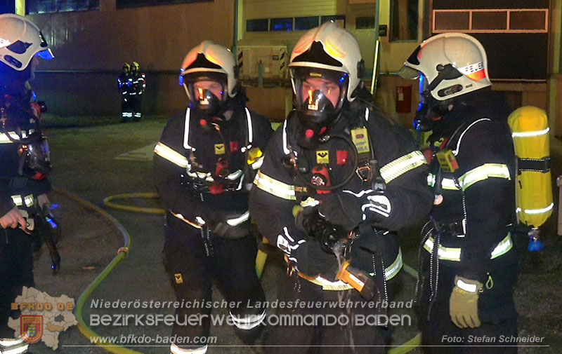 20260404_Mehrere Fahrzeuge auf einem Firmenareal in Traiskirchen-Möllersdorf in Brand geraten Foto: Stefan Schneider BFKDO BADEN 20260404_Mehrere Fahrzeuge auf einem Firmenareal in Traiskirchen-Möllersdorf in Brand geraten Foto: Stefan Schneider BFKDO BADEN