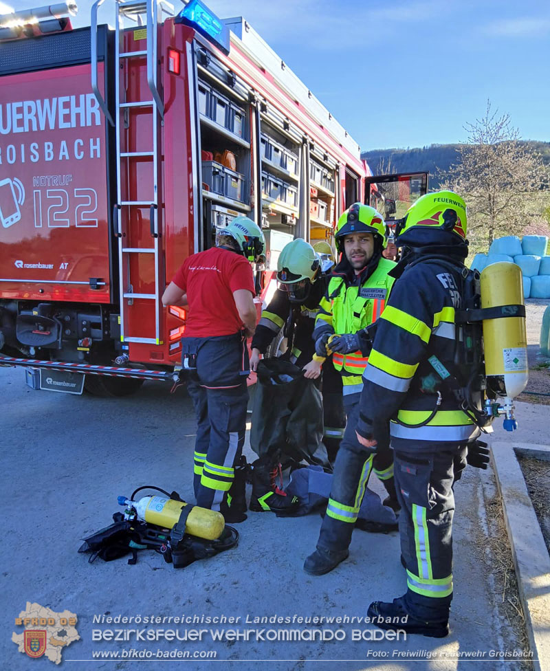 20260408_Neugeborene Kälber aus Güllegrube gerettet Foto: FF Groisbach 20260408_Neugeborene Kälber aus Güllegrube gerettet Foto: FF Groisbach