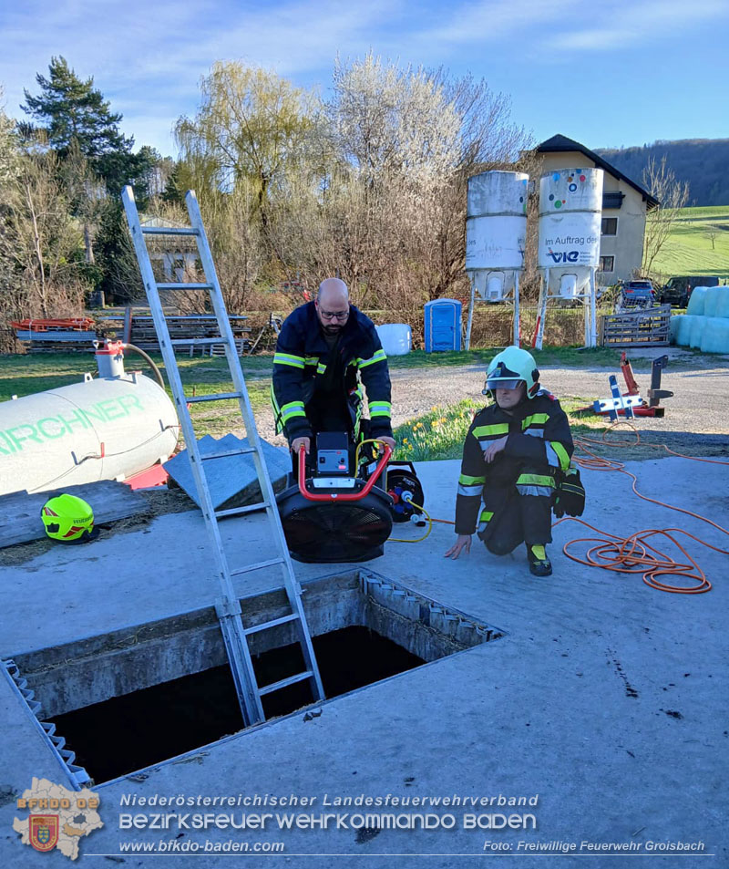 20260408_Neugeborene Kälber aus Güllegrube gerettet Foto: FF Groisbach 20260408_Neugeborene Kälber aus Güllegrube gerettet Foto: FF Groisbach