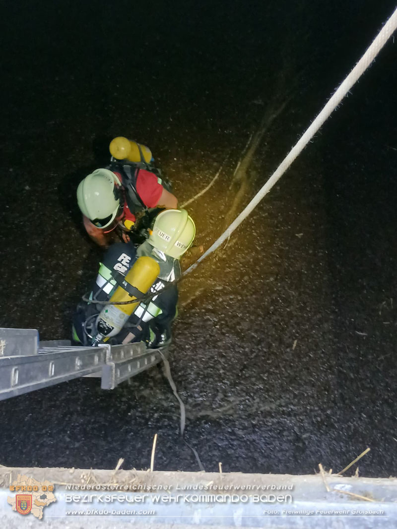 20260408_Neugeborene Kälber aus Güllegrube gerettet Foto: FF Groisbach 20260408_Neugeborene Kälber aus Güllegrube gerettet Foto: FF Groisbach