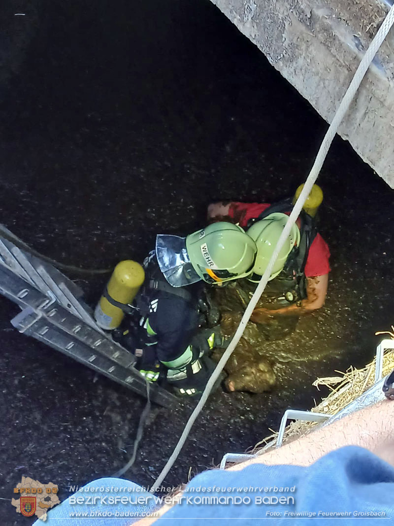 20260408_Neugeborene Kälber aus Güllegrube gerettet Foto: FF Groisbach 20260408_Neugeborene Kälber aus Güllegrube gerettet Foto: FF Groisbach