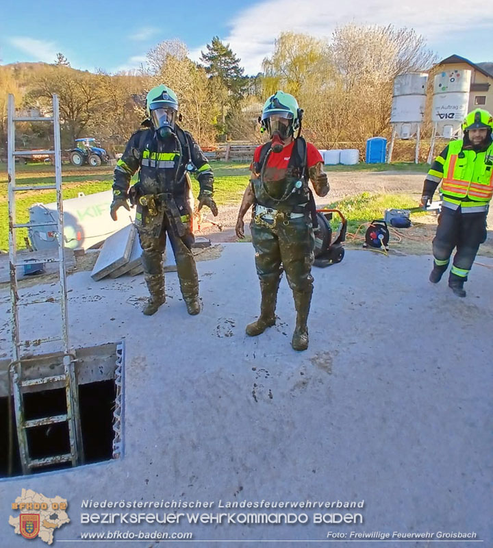 20260408_Neugeborene Kälber aus Güllegrube gerettet Foto: FF Groisbach 20260408_Neugeborene Kälber aus Güllegrube gerettet Foto: FF Groisbach