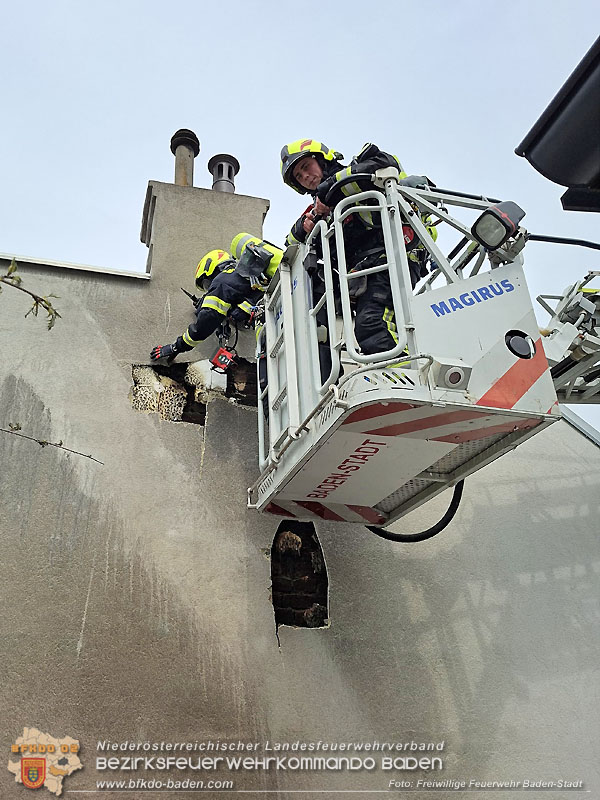 20260413_Brand zweier Hausfassaden in Baden im Ortsteil Weikersdorf Foto: FF Baden-Stadt 20260413_Brand zweier Hausfassaden in Baden im Ortsteil Weikersdorf Foto: FF Baden-Stadt 20260413_Brand zweier Hausfassaden in Baden im Ortsteil Weikersdorf Foto: FF Baden-Stadt 20260413_Brand zweier Hausfassaden in Baden im Ortsteil Weikersdorf Foto: FF Baden-Stadt