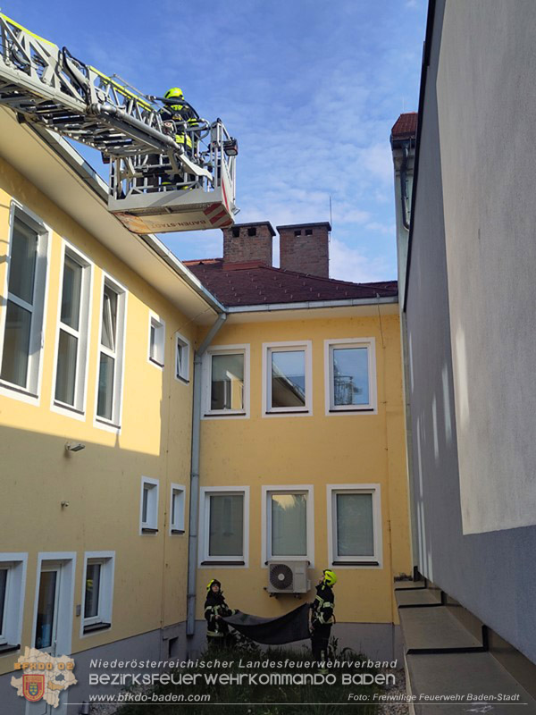 20260419_Stubentiger verschanzt sich im Kamin auf einem Dach in Baden  Foto: Fritz Beichbuchner FF Baden-Stadt