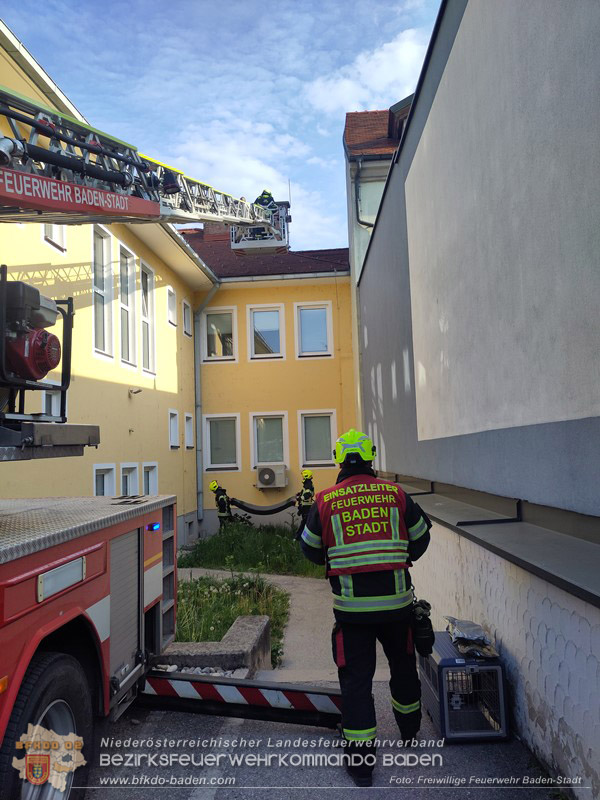 20260419_Stubentiger verschanzt sich im Kamin auf einem Dach in Baden  Foto: Fritz Beichbuchner FF Baden-Stadt