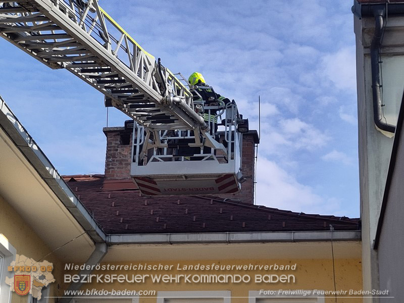 20260419_Stubentiger verschanzt sich im Kamin auf einem Dach in Baden  Foto: Fritz Beichbuchner FF Baden-Stadt