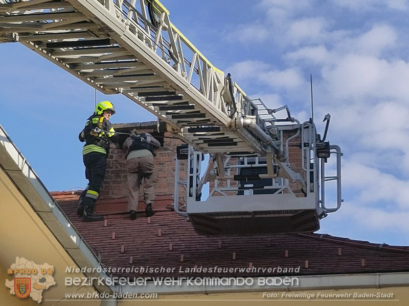 20260419_Stubentiger verschanzt sich im Kamin auf einem Dach in Baden  Foto: Fritz Beichbuchner FF Baden-Stadt