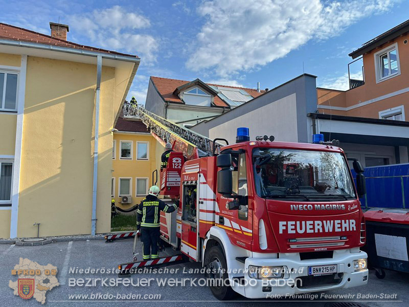 20260419_Stubentiger verschanzt sich im Kamin auf einem Dach in Baden  Foto: Markus Prendinger FF Baden-Stadt